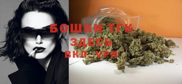 2c-b Бородино