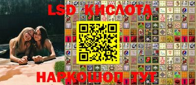 спиды Ярославль