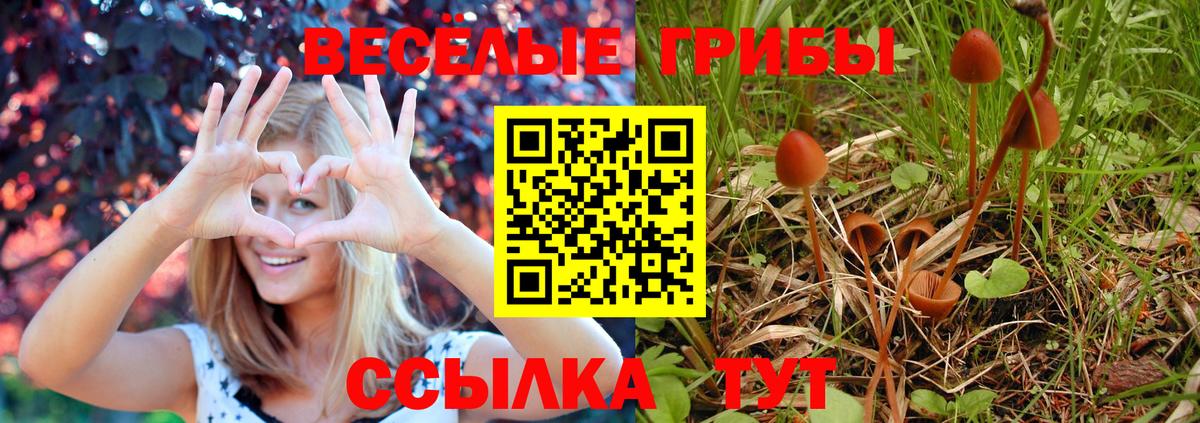 Галлюциногенные грибы мухоморы  Вход с VPN  Пятигорск  Псилоцибиновые грибы прущие грибы 